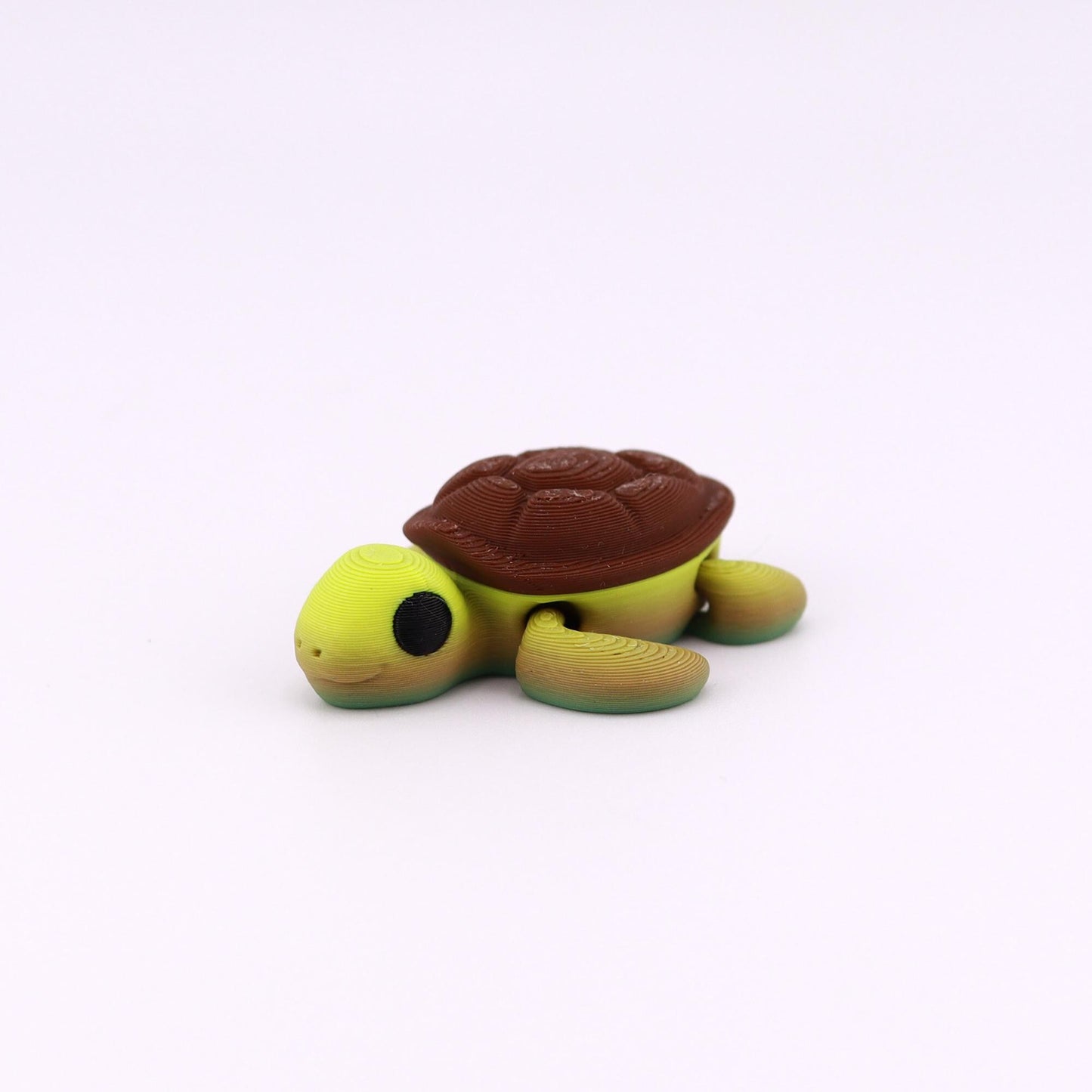 Baby Reptiles – Turtle, Frog, Chameleon, Crocodile, Leopard Gecko, Lizard