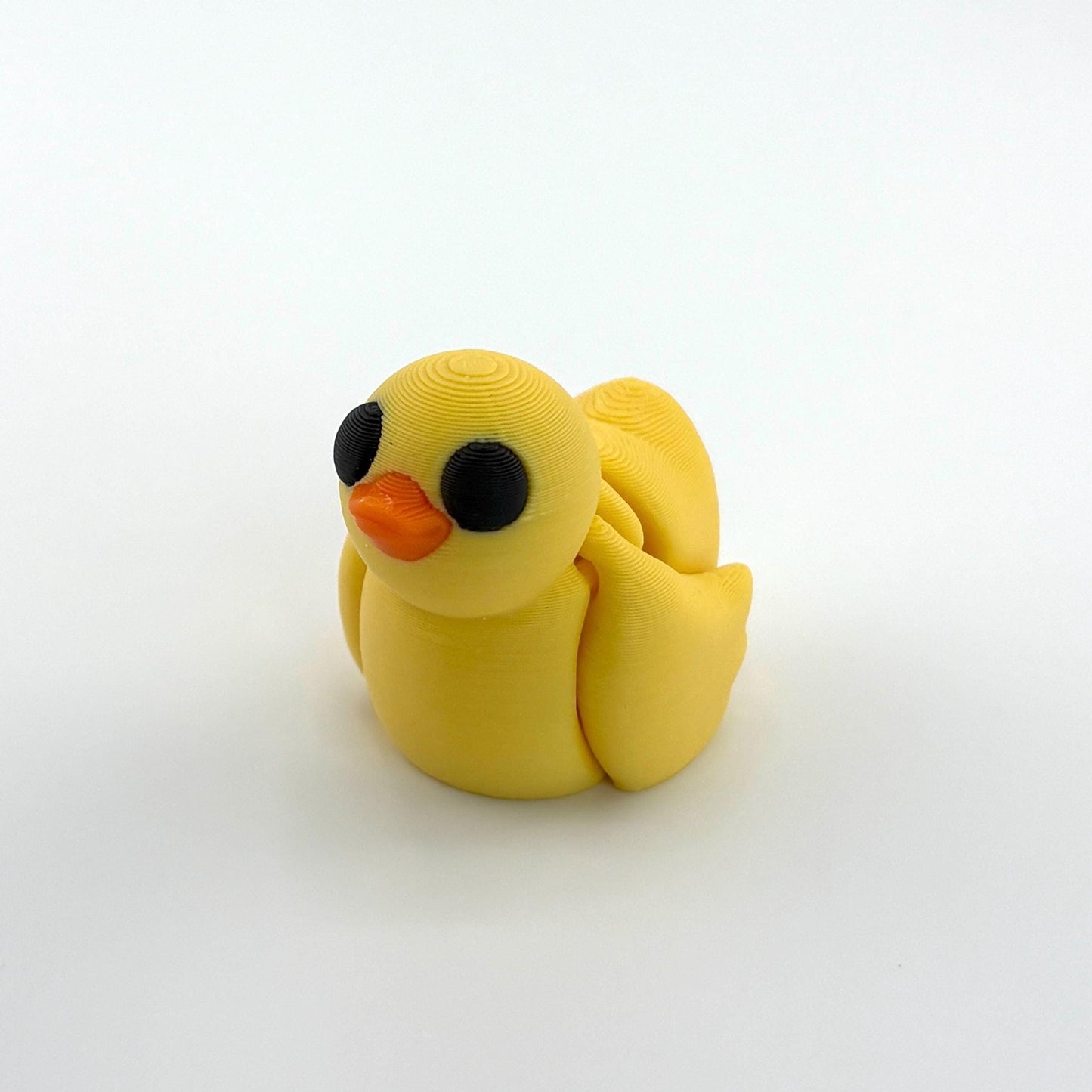 Baby Feathered Friends – Chicken, Duck, Owl, Pigeon, Love Birds